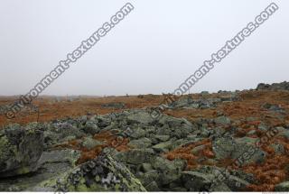 Photo Reference of Background